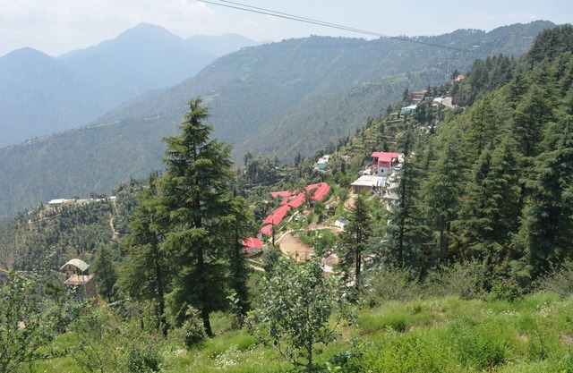 Bliss Of Nature