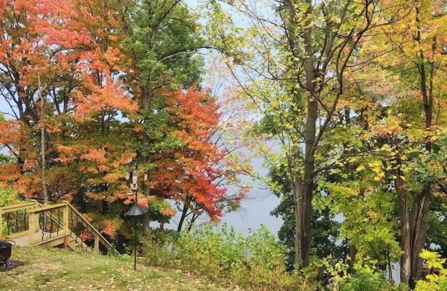 Bliss on the Lake
