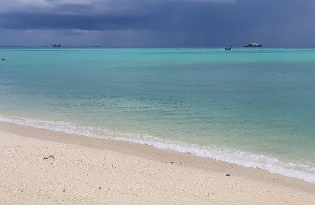 Blu Monkey Phi Phi Island