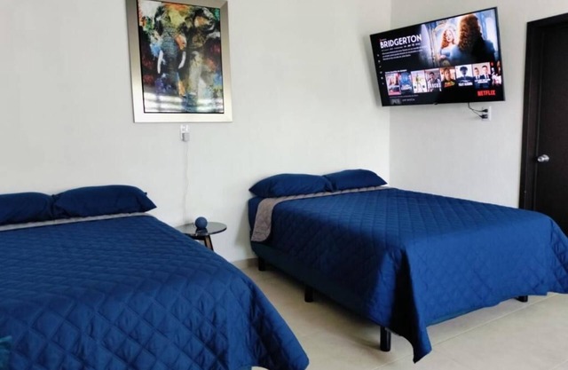 Suite Blu.