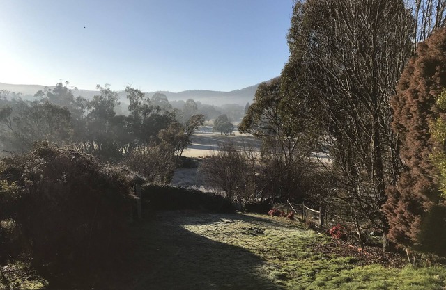 Blue Cockatoo - Humble Home Peaceful View