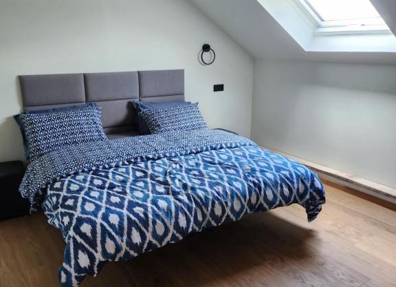 Blue Door Apartment Loft