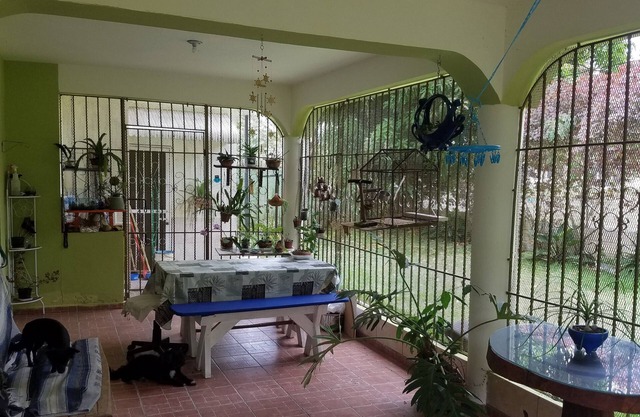 Blue Lady Rooms B&B