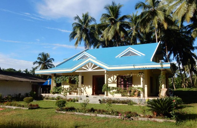 Blue Oasis