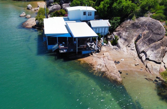 Blue on Cockle - Picnic Bay, QLD