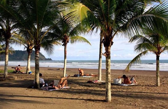 Blue Palm Hotel