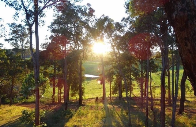 Blue Wren Retreat, Nannup - "Resting Place"
