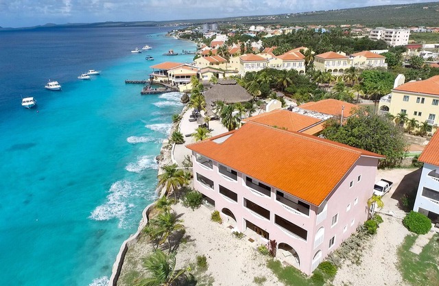 Blue Zone @ Sand Dollar - Suite de lujo frente al mar en Diving Resort