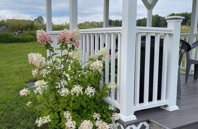 Blueberry Fields B&B