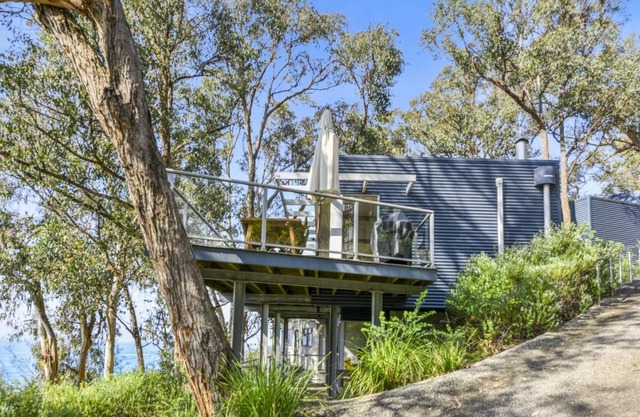 Bluegums at Lorne
