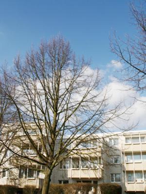 Boarding House "Herzogpark Celle"