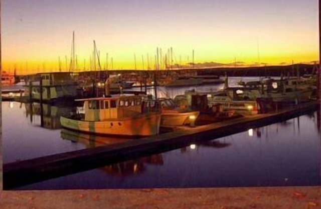 Boat Harbour Apartments