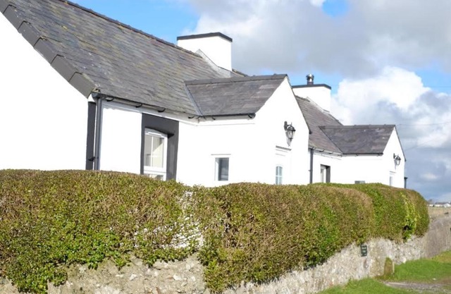 Bodwarren