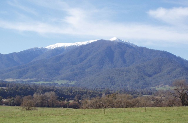 Bogong View ...>>>>>