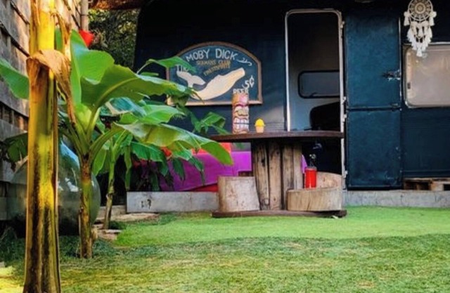 Bohemian relaxation in the shade of the pines