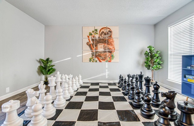 Boho Haven Near Little Rock Air Force Base