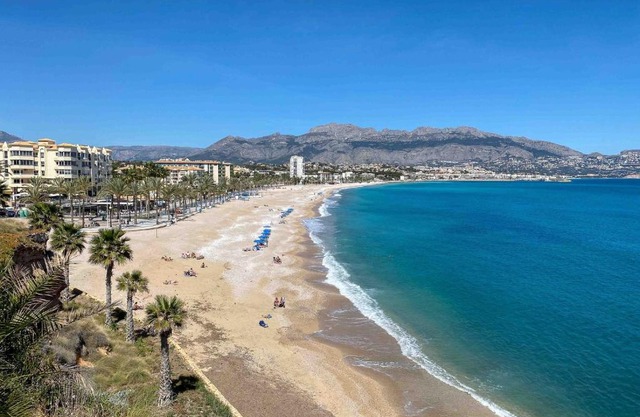Bon Dia Albir