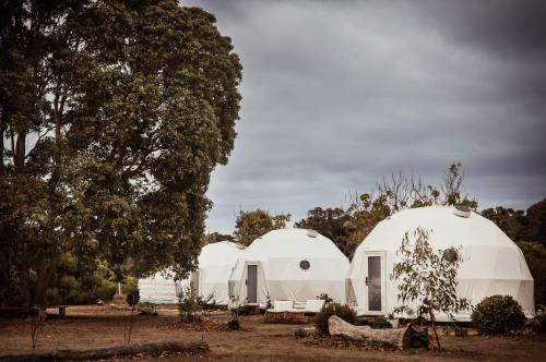 Boogaloo Camp