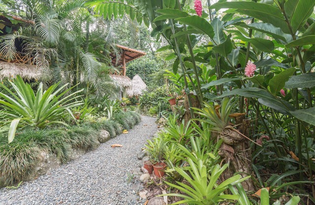 ¡La jungla vive en su máxima expresión! Capacidad para 2-9 personas en la zona más deseada del Caribe.