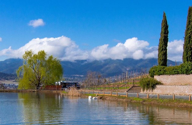 BookStayHop - Water's Edge RV at Paschal Winery ~ Hot Tub ~ Mountain Views