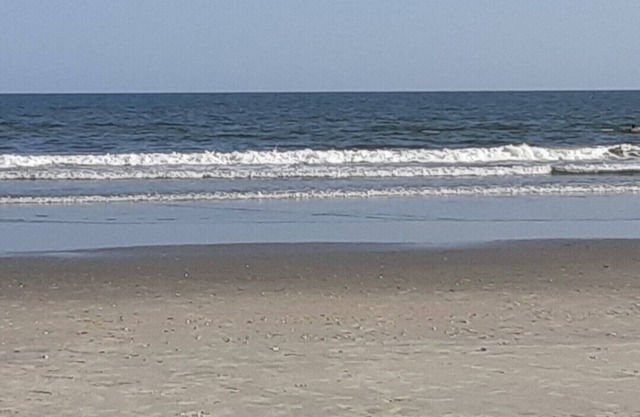 Borders Coastal Carolina University 25 min from beach. Quiet neighborhood.