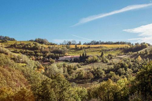 Borgo Isolabella - Wine & Vermouth Agri Resort