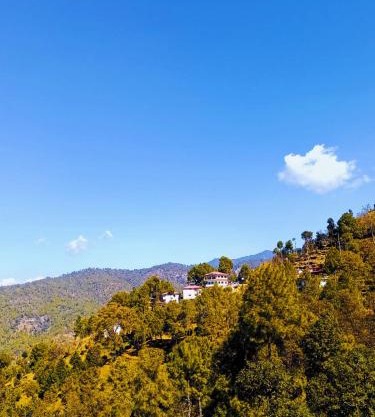 Boros Resorts Binsar