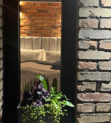 Borowe Apartamenty