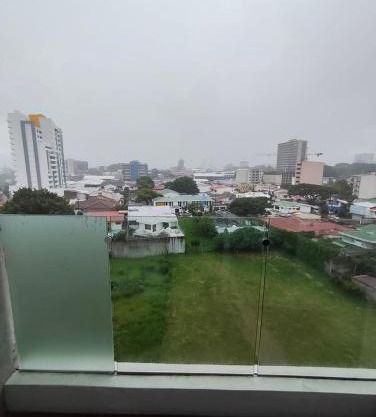 Bosque Cósmico en la ciudad