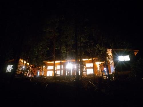 Bosque marino