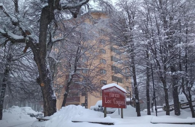 Bosque Nevado