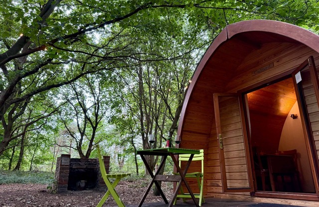 Luxury Woodland Countryside Glamping MegaPod - Boudicca
