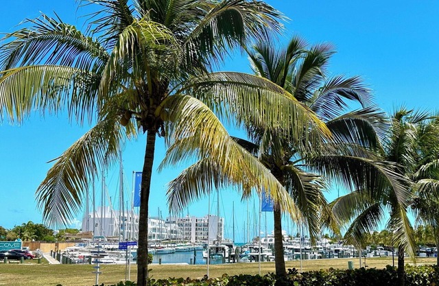 Bougainvillea! Luxury apartment, marina & beach access!n10/10 Excellent!
