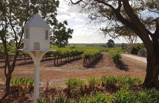 Guest Cottage 'En Las Vides'