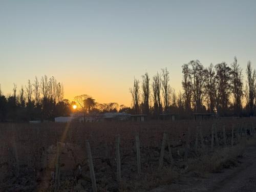 Boutique Hotel Bodega CICLO ANDINO