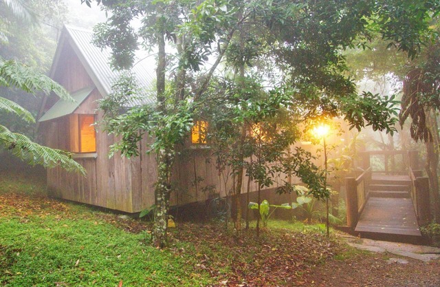 Bowerbird: Mt Glorious Getaways