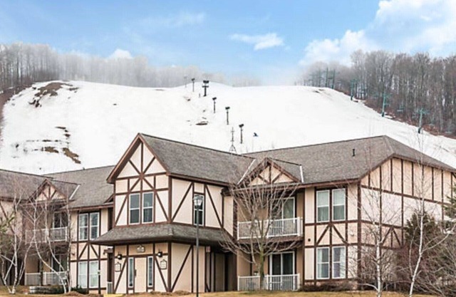 Boyne Mountain Luxury 1 BR Full Kitchen Condo (A2)