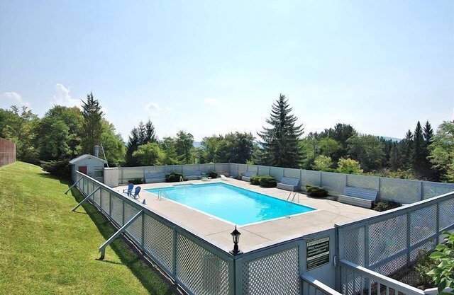 1 bd Condo en el corazón del valle de Canaan, a solo 5 minutos de Davis. Cerca de Dolly Sods