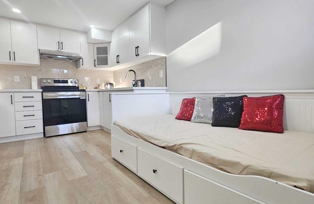 Brand new basement apartment