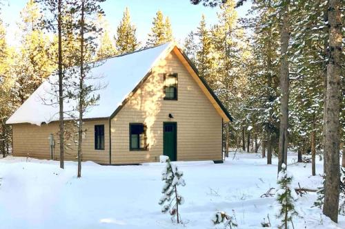 Brand NEW Cabin in the pines