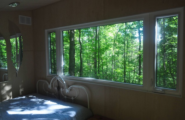 Brand New Dream Den Bunkie for Two with Canoe, River Access, and Scenic Trails