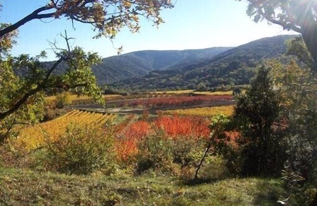 En Méthamis, casa rural en casa de campo provenzal parcialmente renovada, sur ventoux, naturaleza