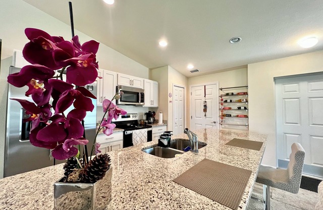 Brand new Lakefront Home with modern kitchen & lake view