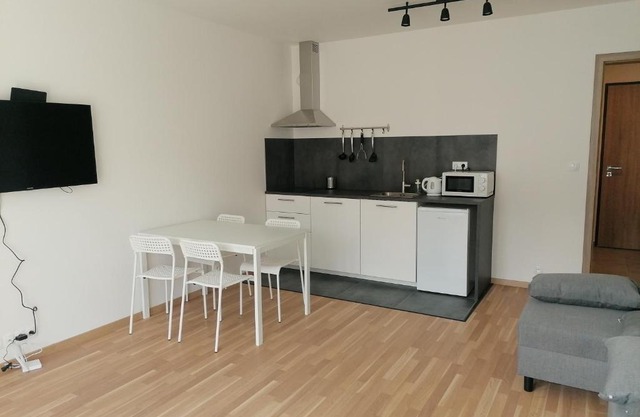 Brand new studio apartment #21 with free secure parking in the center