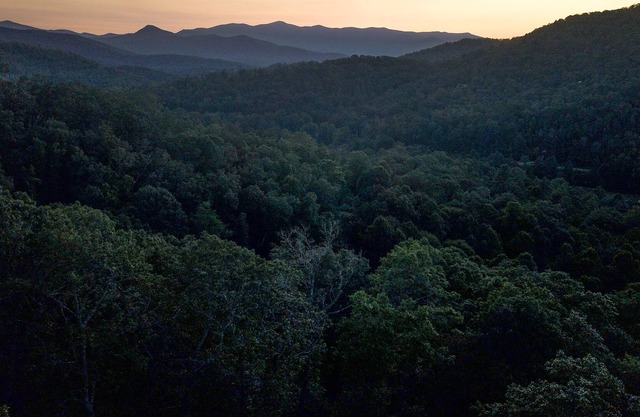 Brasstown Bald and Eagle Mountain Views!