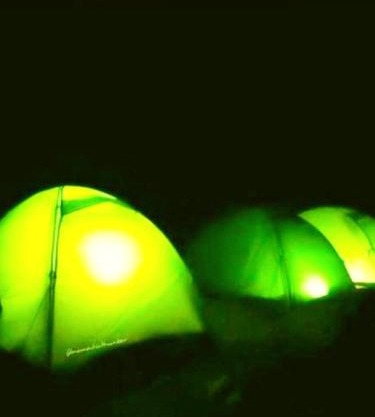 Breathe & Bloom Camp