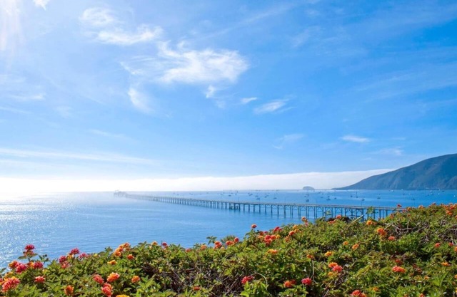 Breathtaking Ocean View! 2 Classy Units, Near Pirates Cove Beach, Pool, Kitchen
