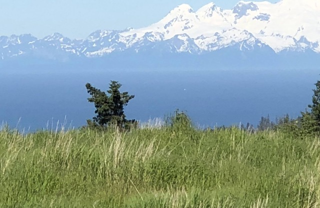 Breathtaking View and Tranquility: A Rustic -Lovely Homer Experience