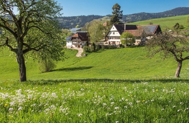 Breigenhof - 5 apartamentos - ubicación soleada
