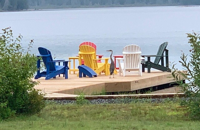 Bright, beautifully renovated lake-front cottage just north of Huntsville.